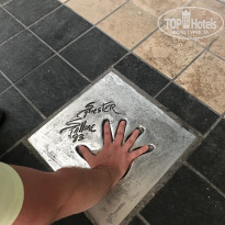 фото из отзыва ID 1786626