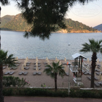 фото из отзыва ID 1789131