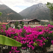 фото из отзыва ID 1789149