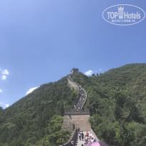 фото из отзыва ID 1789237