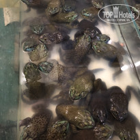 фото из отзыва ID 1789237