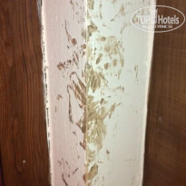 фото из отзыва ID 1788438