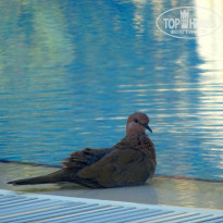 фото из отзыва ID 1789439