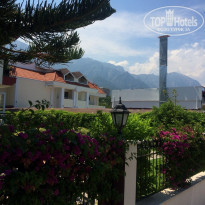 фото из отзыва ID 1789460