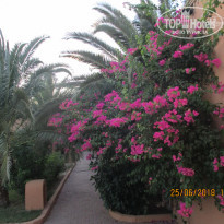 фото из отзыва ID 1789474