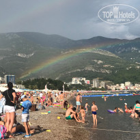 фото из отзыва ID 1789521