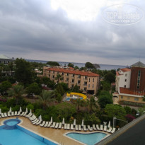 фото из отзыва ID 1789524