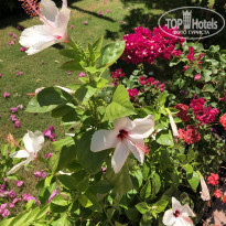 фото из отзыва ID 1789598