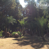 фото из отзыва ID 1789619