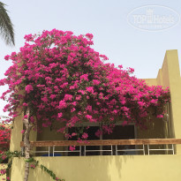 фото из отзыва ID 1789659