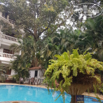 фото из отзыва ID 1789675