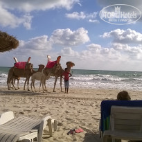 фото из отзыва ID 1789803