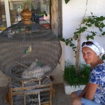 фото из отзыва ID 1789803