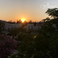 фото из отзыва ID 1789614