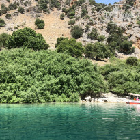 фото из отзыва ID 1789614