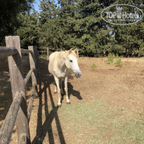 фото из отзыва ID 1789614