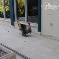 фото из отзыва ID 1789847