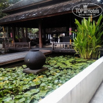 фото из отзыва ID 1789848