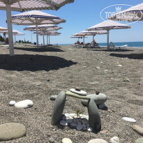 фото из отзыва ID 1788057