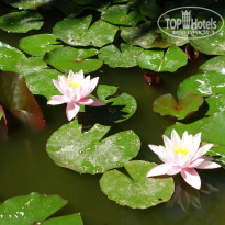 фото из отзыва ID 1789945