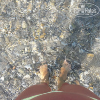 фото из отзыва ID 1788985