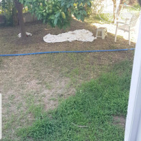 фото из отзыва ID 1787203