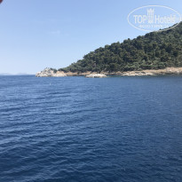 фото из отзыва ID 1783202