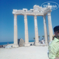 фото из отзыва ID 1784696