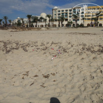 фото из отзыва ID 1787067