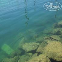 фото из отзыва ID 1787067