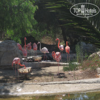 фото из отзыва ID 1787067