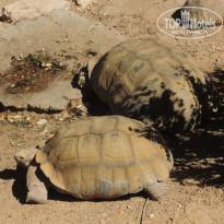 фото из отзыва ID 1787067