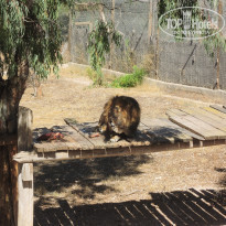 фото из отзыва ID 1787067