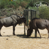 фото из отзыва ID 1787067