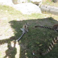 фото из отзыва ID 1787067