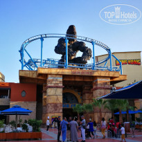 фото из отзыва ID 1787067