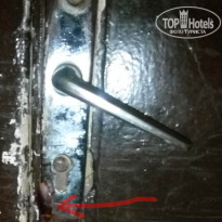 фото из отзыва ID 1787067