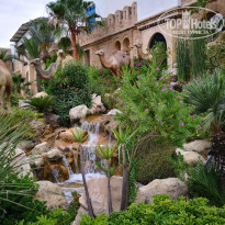 фото из отзыва ID 1787067