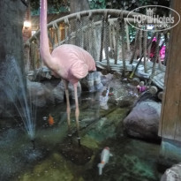 фото из отзыва ID 1787067