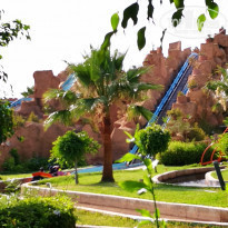 фото из отзыва ID 1787067