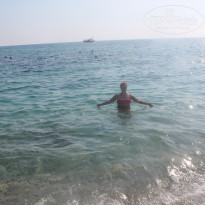 фото из отзыва ID 1786510