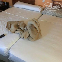 фото из отзыва ID 1782466