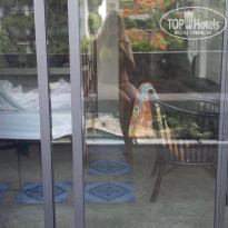 фото из отзыва ID 1787960