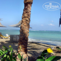 фото из отзыва ID 179612