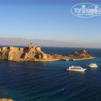 фото из отзыва ID 179978