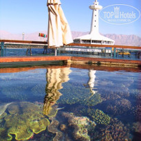 фото из отзыва ID 179978