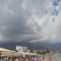 фото из отзыва ID 1790184