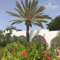 фото из отзыва ID 1790315