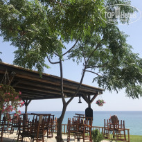 фото из отзыва ID 1790380