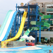 фото из отзыва ID 1790518